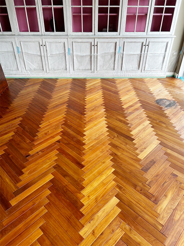 ドッグライフコート