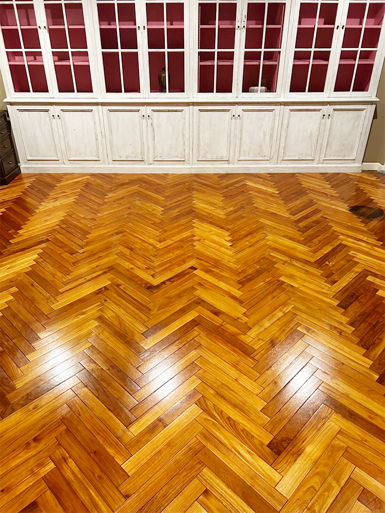 ドッグライフコート