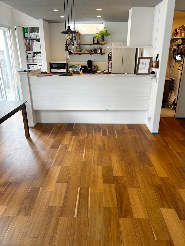 ドッグライフコート