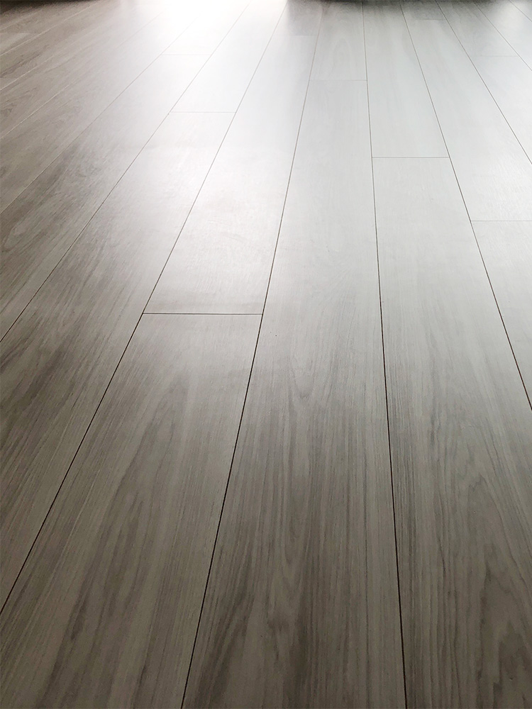 ドッグライフコート