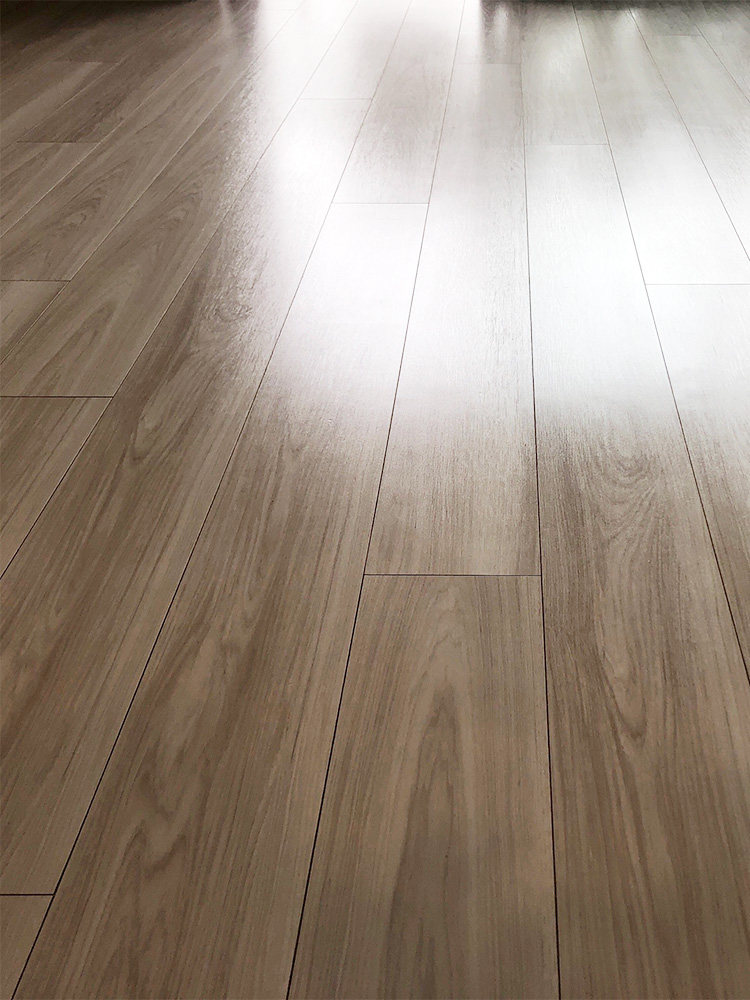 ドッグライフコート