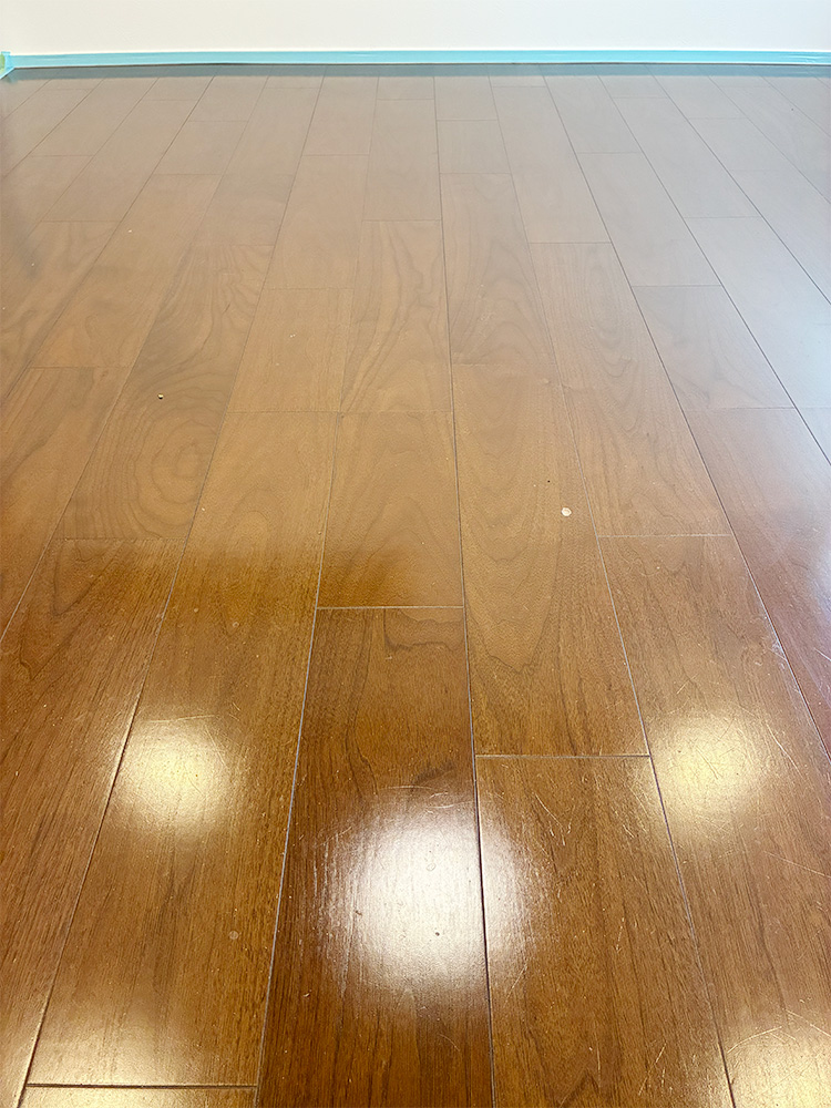 ドッグライフコート