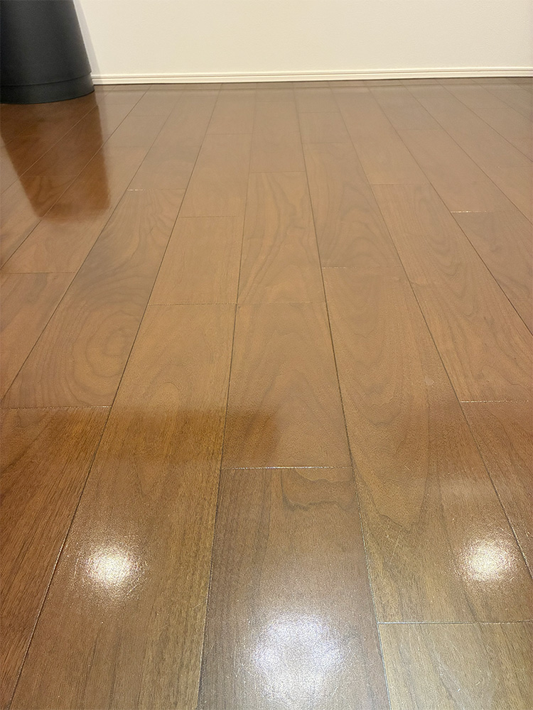 ドッグライフコート