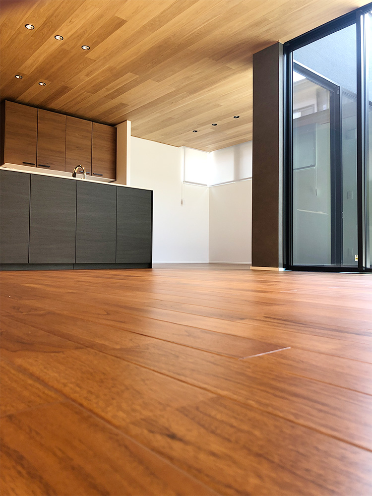 ドッグライフコート