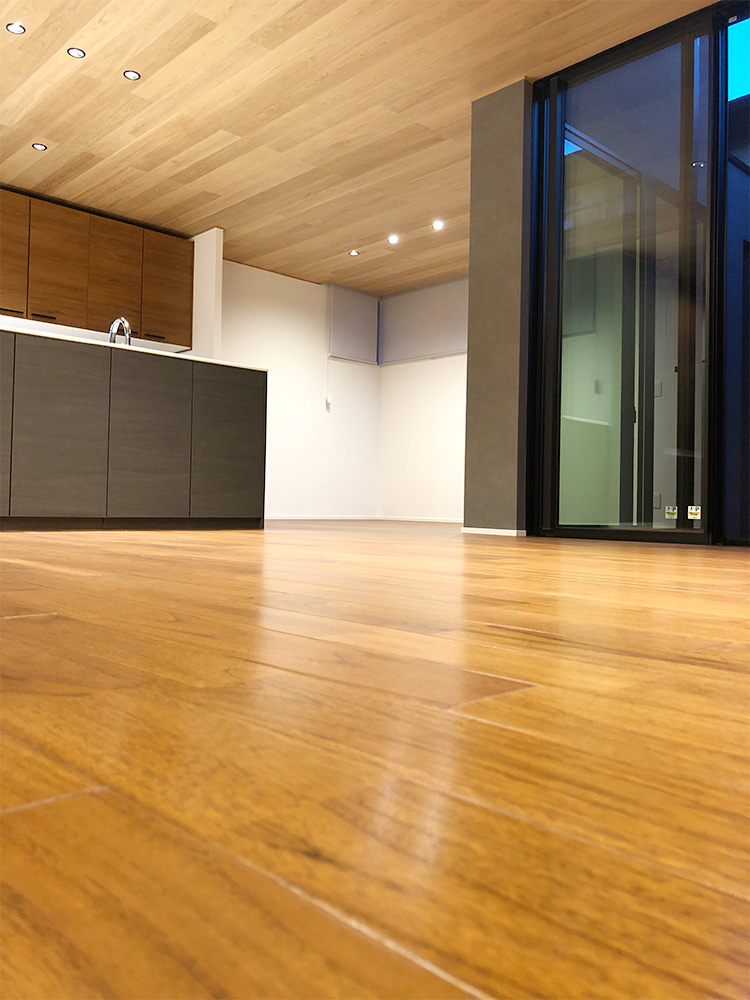 ドッグライフコート