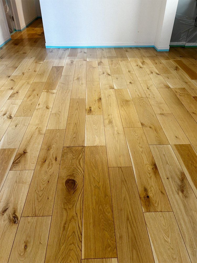 ドッグライフコート