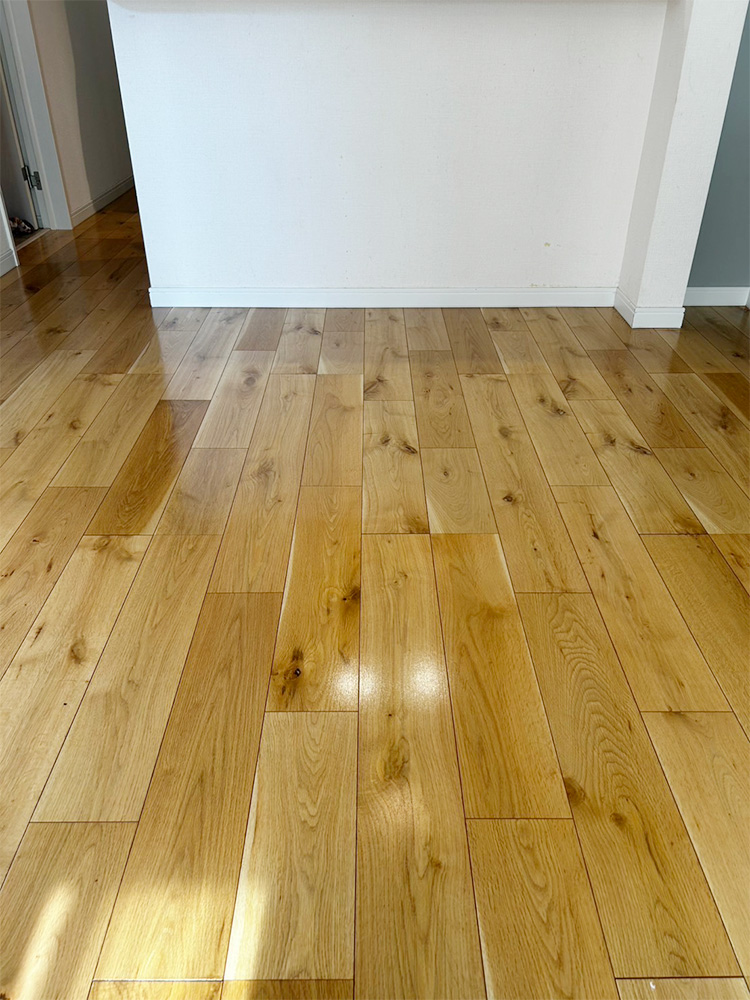 ドッグライフコート