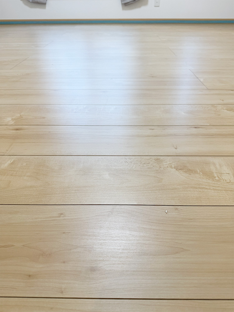 ドッグライフコート