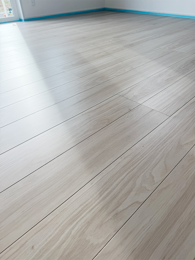 ドッグライフコート