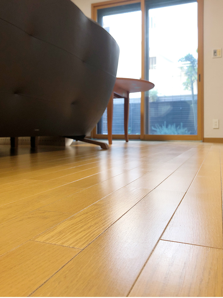 ドッグライフコート