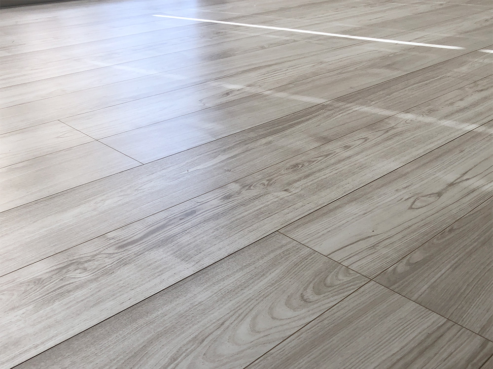 ドッグライフコート