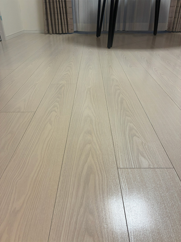 ドッグライフコート