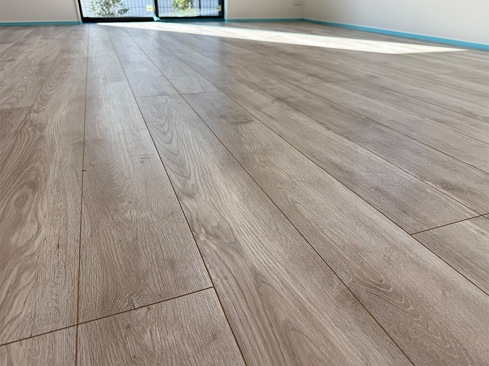 ドッグライフコート