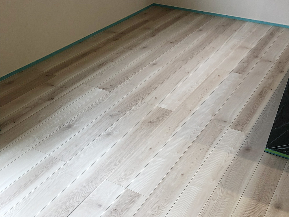 ドッグライフコート