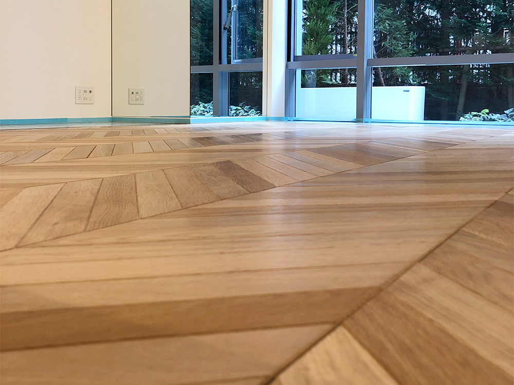 ドッグライフコート