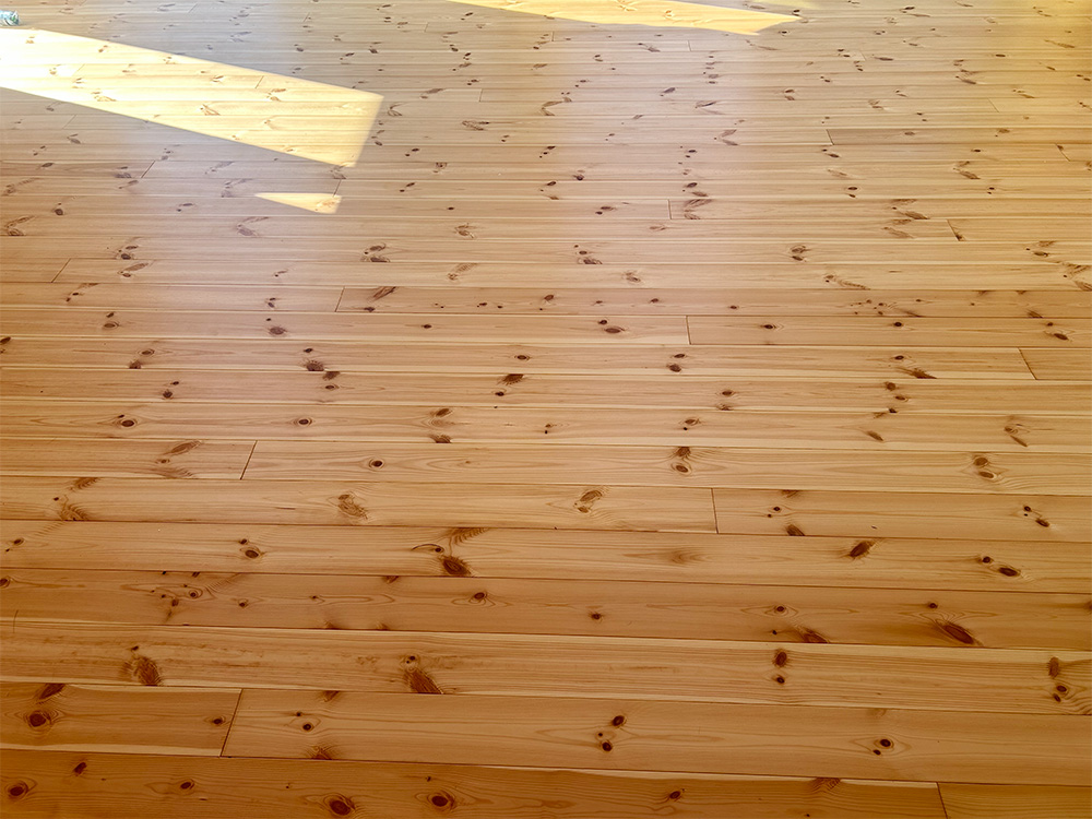 ドッグライフコート