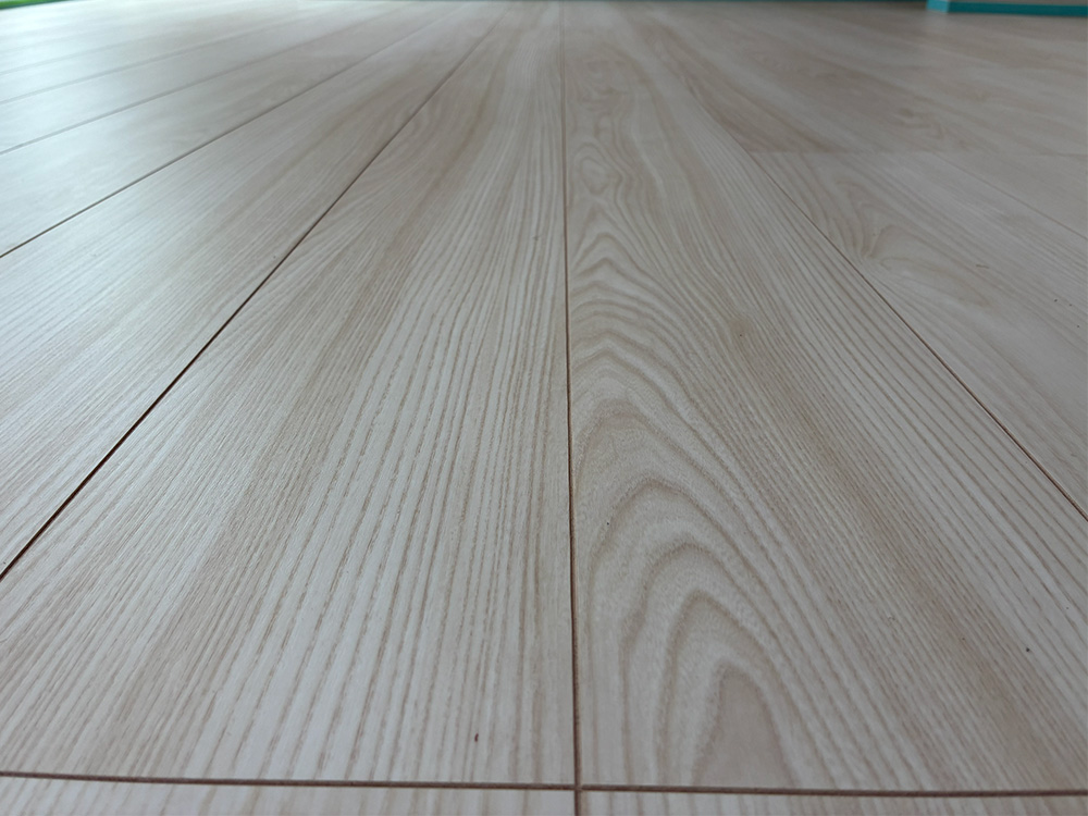 ドッグライフコート