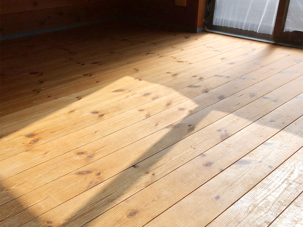 ドッグライフコート